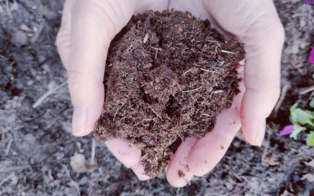 Schriftelijke vragen over micro-zwerfafval door gemeente compost
