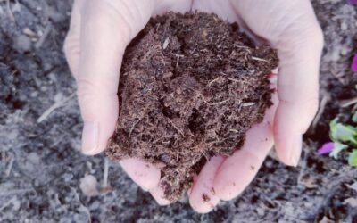 Schriftelijke vragen over micro-zwerfafval door gemeente compost